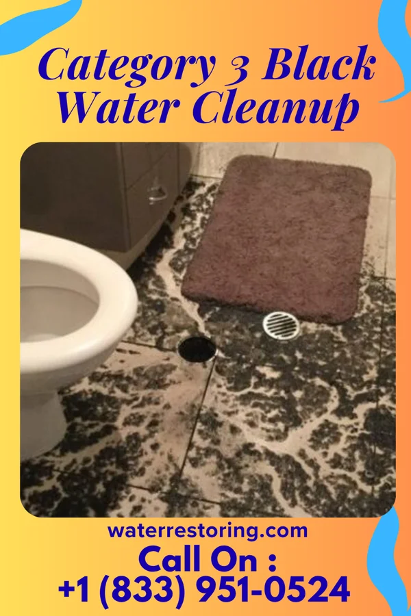 Category 3 Black Water Cleanup in Antler, ND