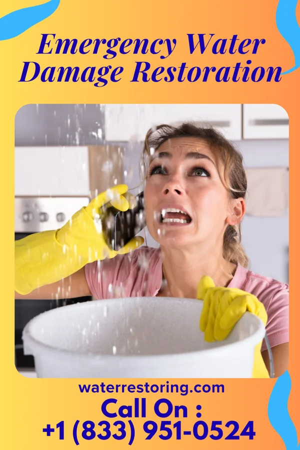 Emergency Water Damage Restoration in Antler, ND