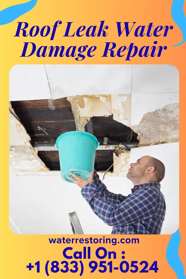 Roof Leak Water Damage Repair in Antler, ND