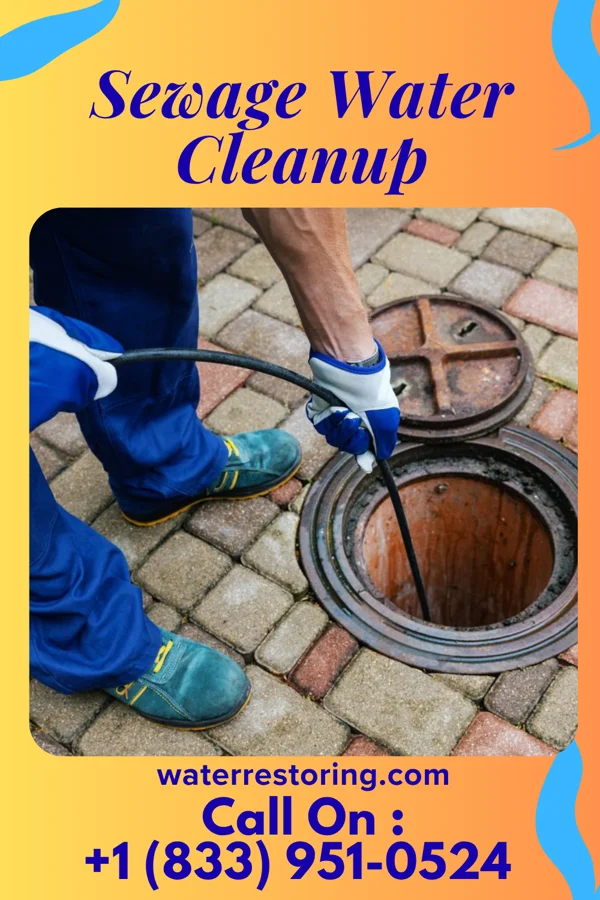 Sewage Water Cleanup in Antler, ND